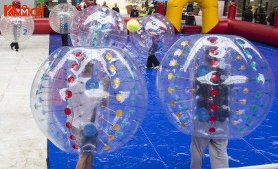 hamster zorb ball for the pool