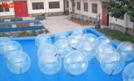 hamster zorb ball for the pool