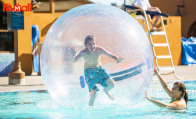 our family enjoy zorb ball sale