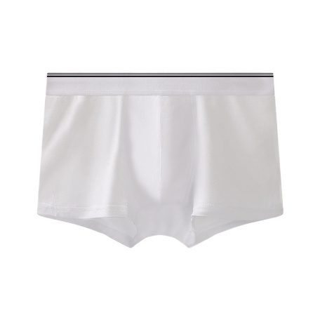 all white cotton panties new