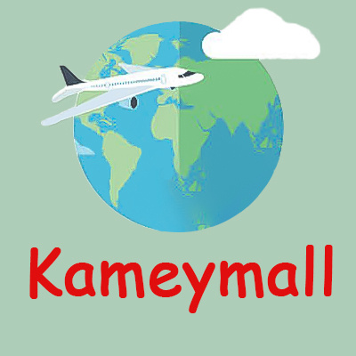 Israel line packet shipping line logo