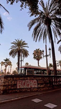 BCN